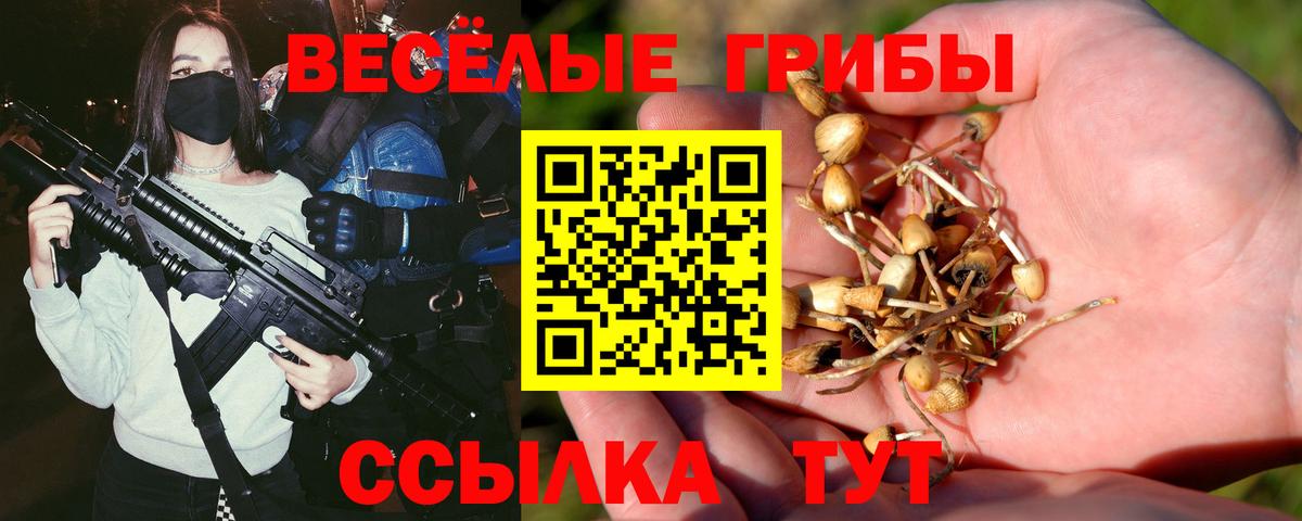 Галлюциногенные грибы прущие грибы Назрань