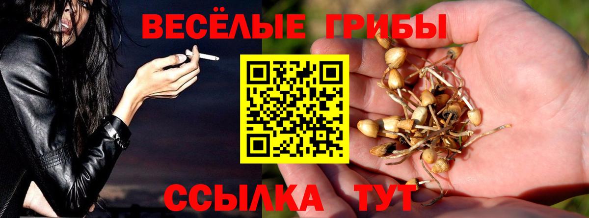 Псилоцибиновые грибы прущие грибы  Галлюциногенные грибы прущие грибы  Вход с VPN  Назрань 